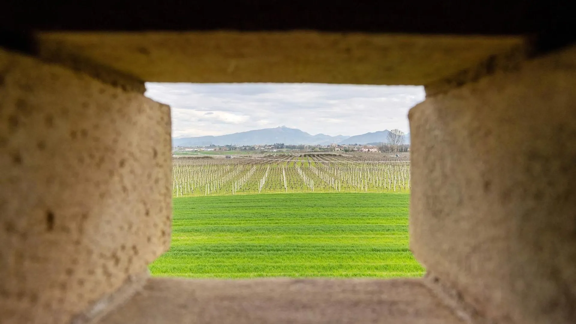 Agriturismo Casa Pezzo Castelnuovo del Garda Bauernhof